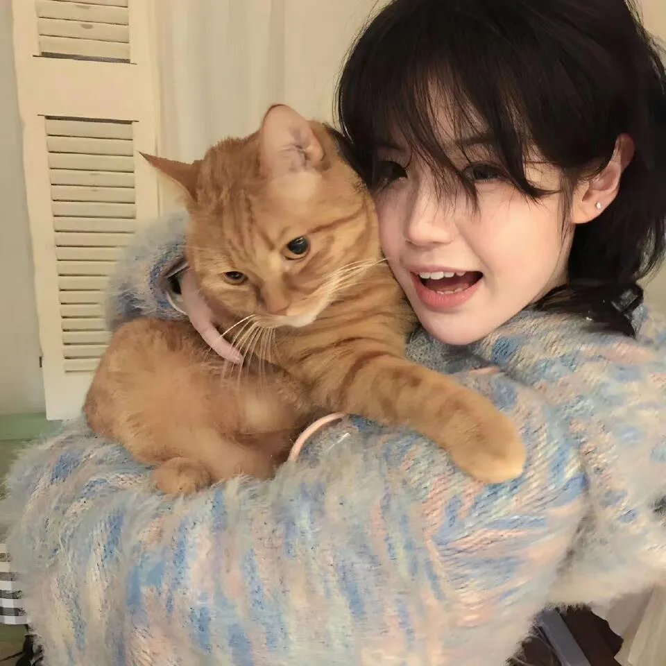 欺负我残废,宗师归来你别哭